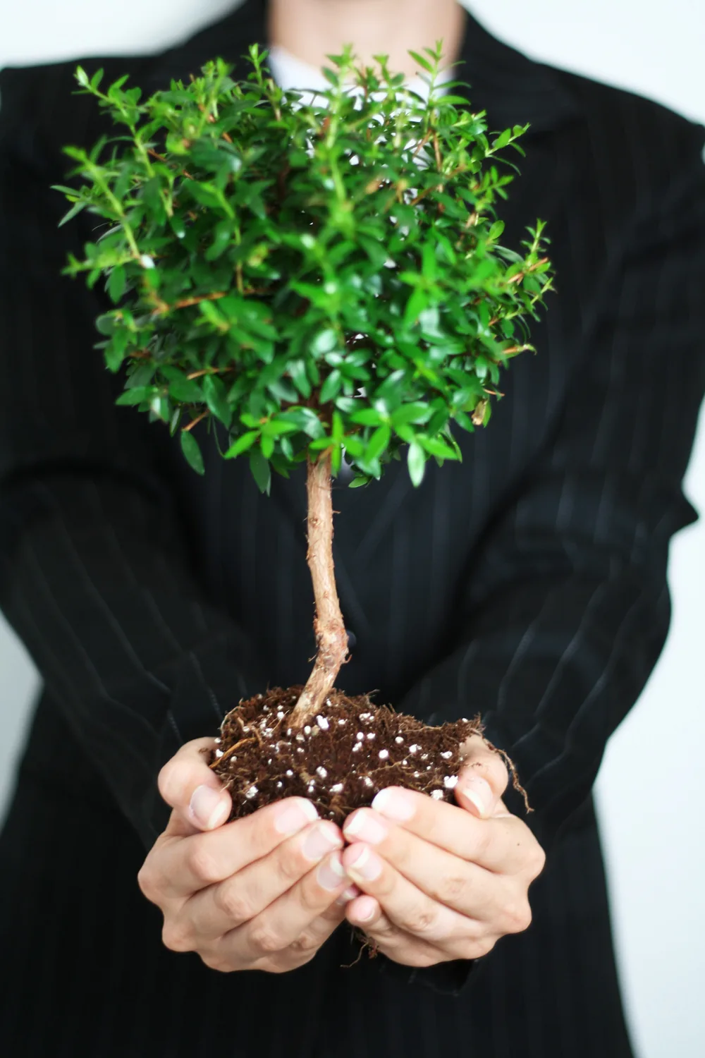 How to build a business vs creating a job for yourself?