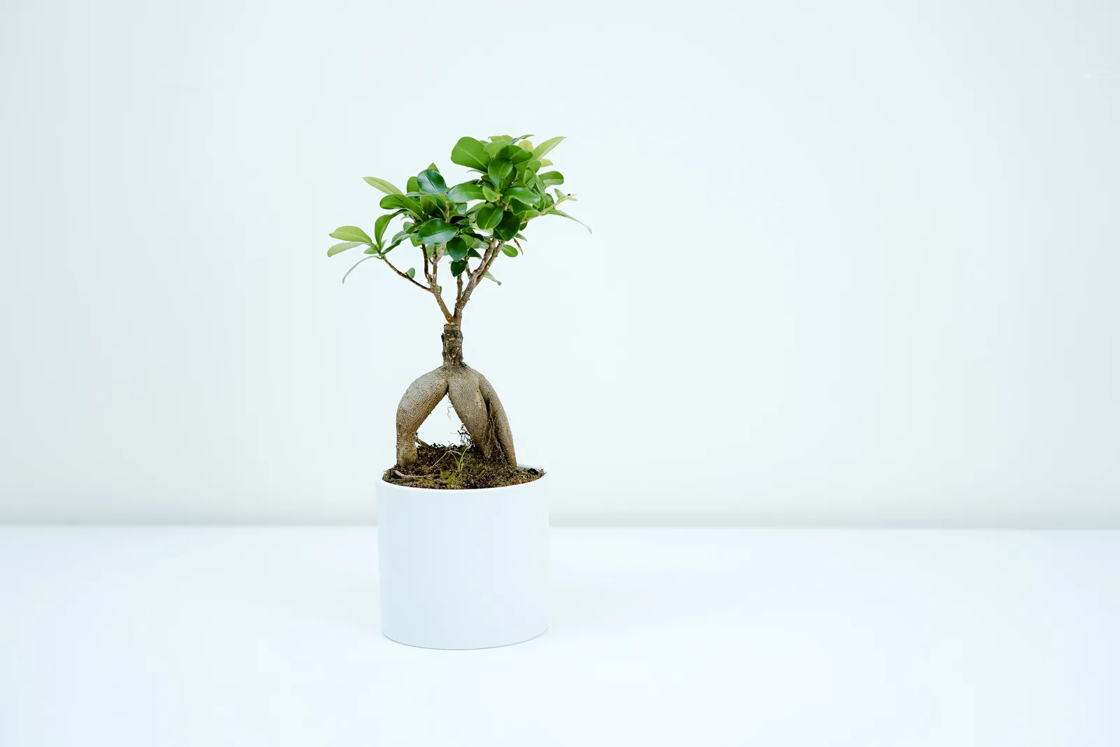 A unique patient communication experience source