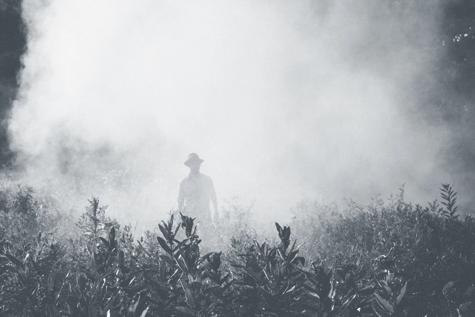 EDOF Lenses and the Hidden Power of Contrast Sensitivity: What 9,000 Patients Taught Us
